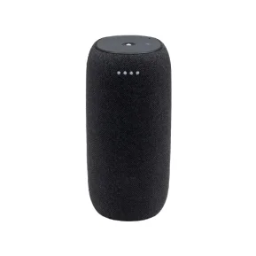 Smart speaker Station Wide with Alice Big